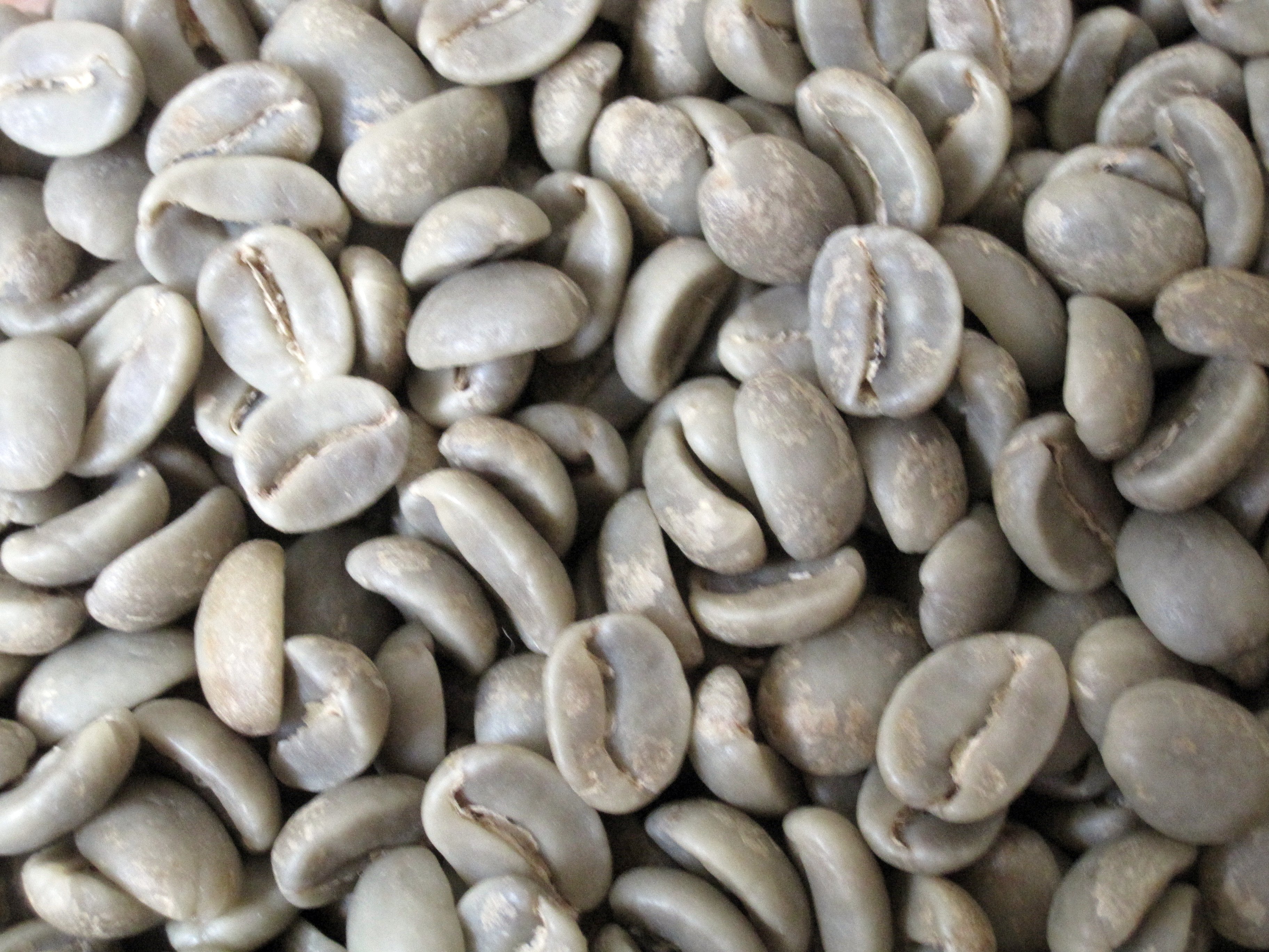 Green coffee beans close-up